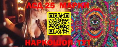 мдпв Кингисепп
