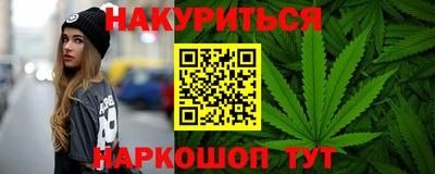 мдпв Кингисепп