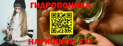 мдпв Кингисепп