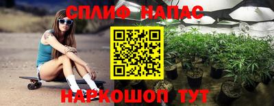 мдпв Кингисепп